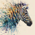 Zebra - Wild Earth Collection