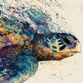 Sea Turtle - Oceanic Collection