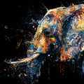 Elephant - Wild Earth Collection